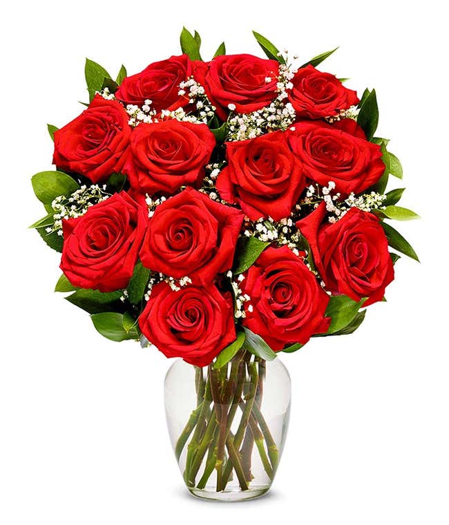 One Dozen Red Roses
