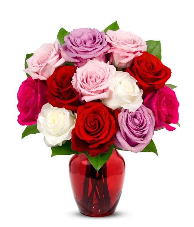 One dozen pink, red, white and purple roses for Mother's Day gift