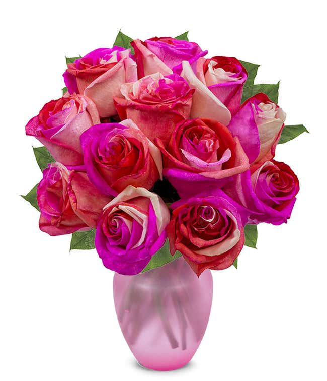 One Dozen Wild Pink Roses