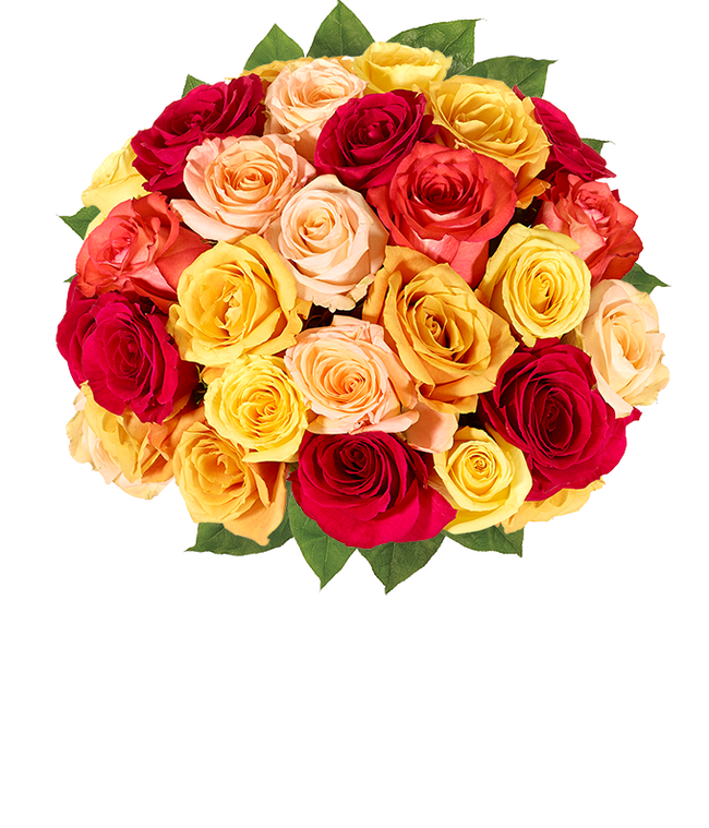 Partial image of Two dozen Autumn roses without vase